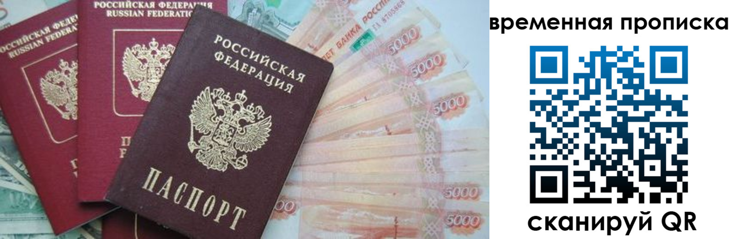 прописка поиск в Киселёвске